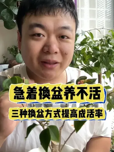 �����������Ż����������������ֻ���Ҫ����߳ɻ����� #���� #����С֪ʶ #���� #������ֲ #����