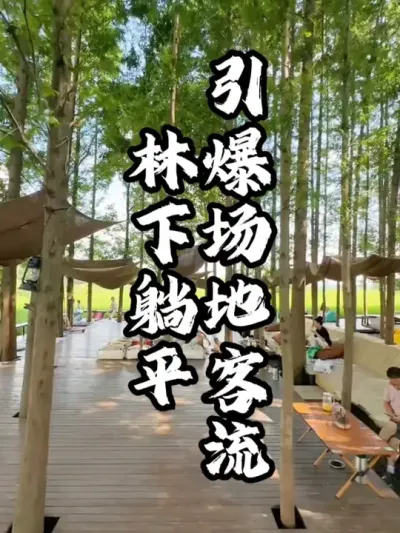 ������ƽ#��������  #�������  #�ܶ����� #�ֵ�����