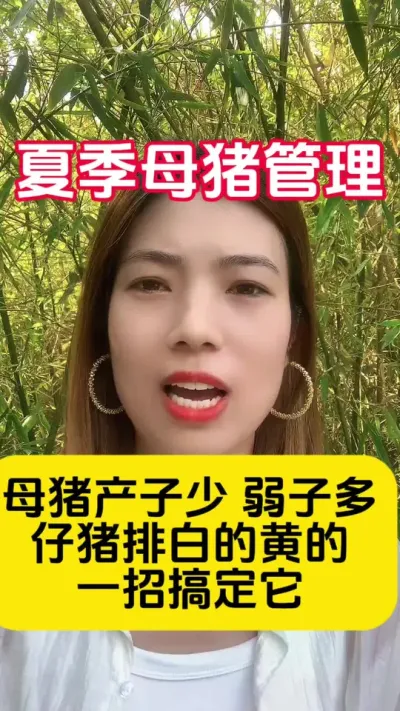 #������ #��ũ #�����˽�ֹ�� #�����˼��� #����֪ʶ