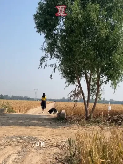 �ػ�һ�������������������͸���������һ�����������&hellip;�����˴����������������ֻ�ж������޴�����&hellip;#�ҵ��������� #�����ﶬ #���Ӱ�� #��С����ĵط�