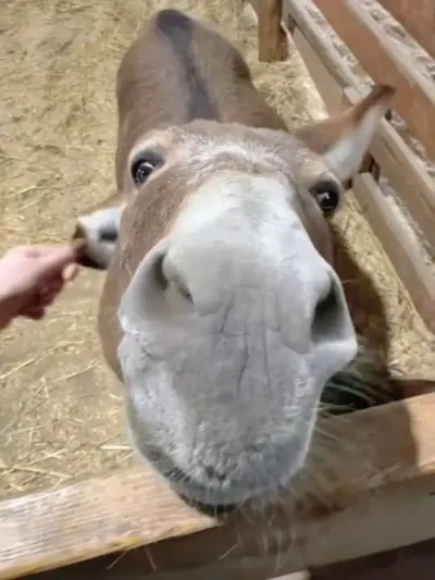 &ldquo;���Ÿ�¿������~&rdquo; #�ɰ��ȳ� #���涯�� #�ȳ��Ц