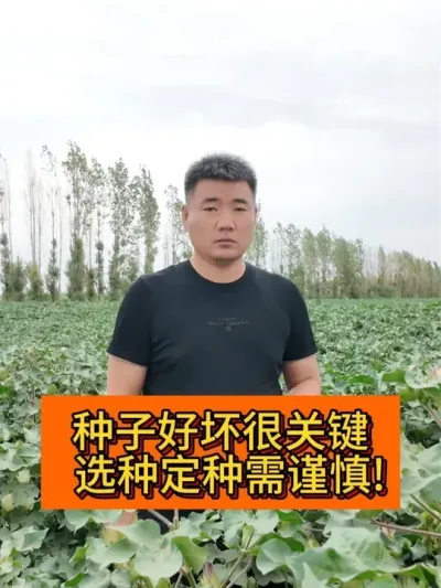 �������Ӻ�Ҫ�� ѡ�ֶ��������� #��ũ������2025#ݪֲС���� #��ũݪֲ #������ũ֧����ũ #֧����ũ������ũ����