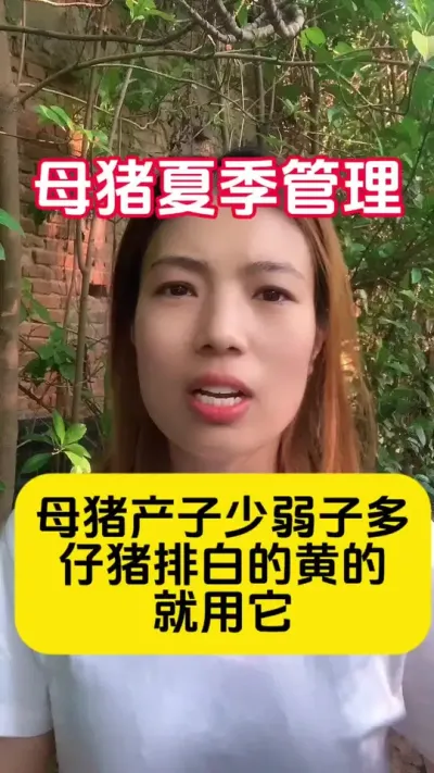 #������ #��ũ #�����˽�ֹ�� #�����˼��͸� #����