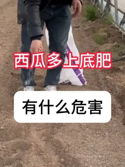 ϵ׷ ϶ϵ׷ʲôΣ#ũ #ũ # #׷ #ݪֲ