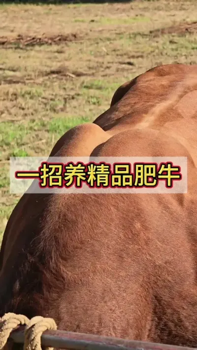 һƷţ#ţ #ţ #ţ #ţ