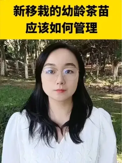 �����Ե��������Ӧ����������#���� #����ݪֲ