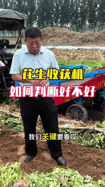 �����ջ����Ƿ������ô�ж�#����ݪֲ #����ݪֲ�������� #�����߲� #�����߲�ݪֲ #ë��������߲�����