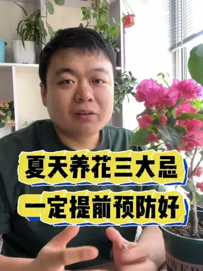 夏天养花三大忌，一定要提前做好预防。 #养花 #养花小知识 #花卉 #花卉绿植 #盆栽