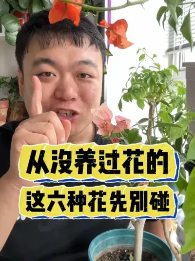 ��û��������С���������ֻ��ȱ����� #���� #����С֪ʶ #���� #������ֲ #����