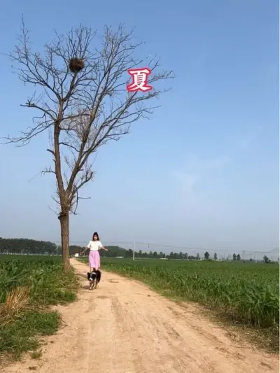 ��������һ�����������ϼ�һ��С·�Ĵ����ﶬ�����ɶ̶̵ļ�ʮ����һ������Ļû������˵�һ�������ꡢ���ꡢ���ꡢ������������ѭ������ȴ��������#�����ﶬ #���Ӱ�� #����ͷ #ũ������