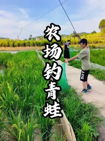 ���Ｆ#��������  #�������  #�ܶ�����  #ũׯ����