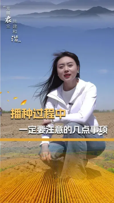 播种过程中一定要注意的几点事项#三农 #玉米种植技术 #玉米种子 #玉米种植 #抖音新农人