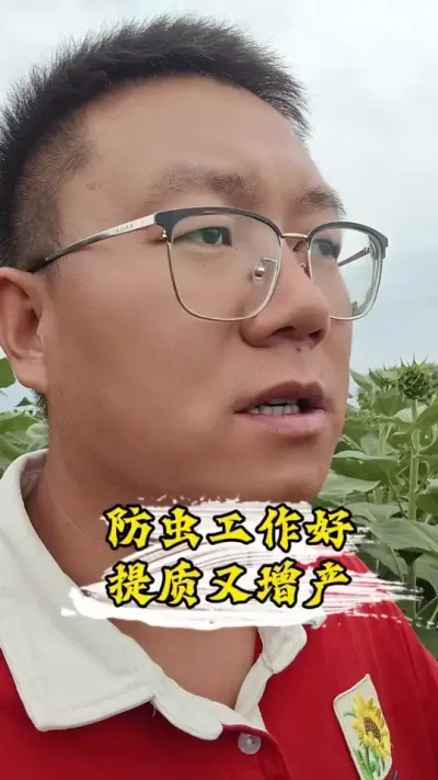 ������Ҫ����ÿ�����鶼Ҫ��#�����