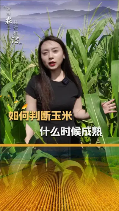 �����ж�����ʲôʱ�����#��ũ #��ũ������ #����ݪֲ #����ݪֲ���� #��������