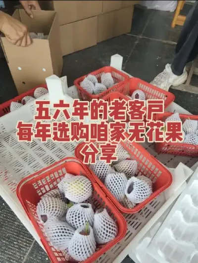 ���ÿͻ�����ִ����ƾ����Ʒ���������޻������óԡ�����?#�����޻���ݪֲרҵ������ #�������﹢�и��óԵ��޻�����ժ԰ #�޻�������