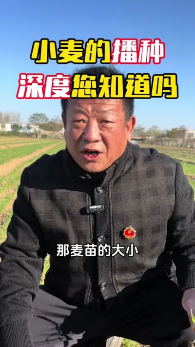 С��Ĳ��������֪����#С��#С��ݪֲ #С��߲������ƻ� #С��߲��ײ� #ë��������߲�����