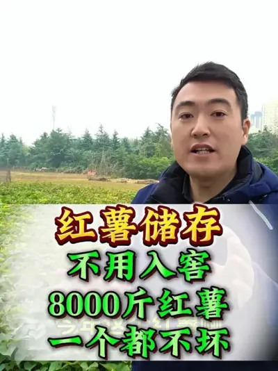 �������治�������8000��һ�������� #����ݪֲ #�������� #������������ #�������� #��������Ҫ��