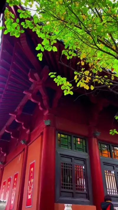 ���ǹ���ƽ̨|�ٷ�