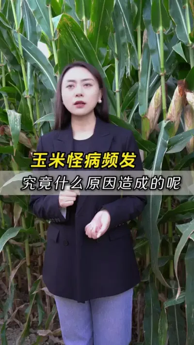 ���׹ֲ�Ƶ������ʵ��ʲôԵ��ԭ����ɵ�����#��ũ #����ݪֲ #����ݪֲ���� #�������� #������ũ��