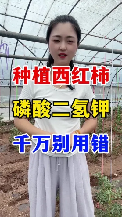 ݪֲ�������������������ö����� #������ݪֲ #������ݪֲ����