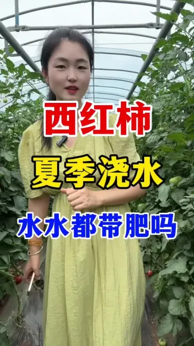 ���������ս�ˮ��Ҫˮˮ���������� #������ݪֲ #������ݪֲ����