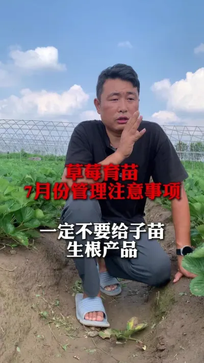 7�·ݹ���ע������#��ݮݪֲ #��ݮݪֲ���� #��ݮ���� #��ũ������ #����ũҵ֪ʶ��ũ����������