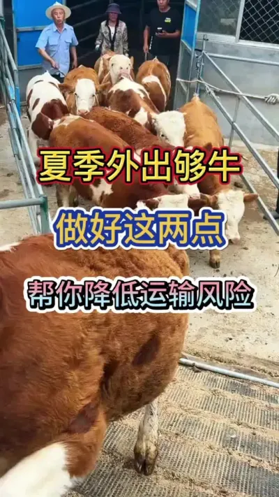 ���������ţ���������������㽵������Σ��#��ţ #��ţ�� #��ţ���� #��ѧ��ţ #��ũ