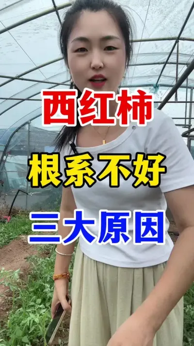 ��������ϵǷ�þ�����ʲôԵ��ԭ���� #������ݪֲ #������ݪֲ����