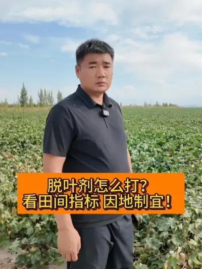 ��Ҷ����ô�����ָ�� ������� #��ũ������2025#ݪֲС���� #ũҵݪֲ ##������ũ֧����ũ #��Ҷ��