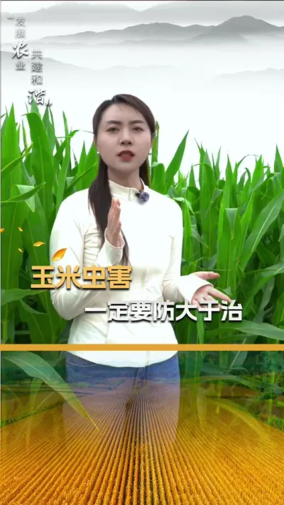 ���׳溦�Ƿ������ٴ�����վ�Ҫ��ǰԤ������#��ũ #����ݪֲ #����ݪֲ���� #�������� #������ũ��