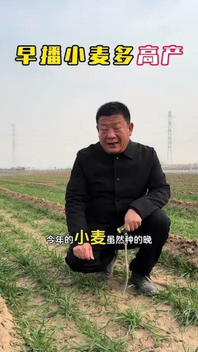 �粥С���߲�#С��#С��ݪֲ#ݪֲ�� #С��߲�#ë��������߲�����