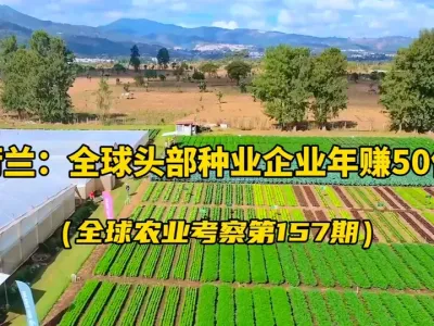 ũҵ׬Ǯʵҵ˾ũҵоƬ ںȫͷ߲ҵҵ˹һҵ˾2000һ50Ѿ101зģ#ũҵ