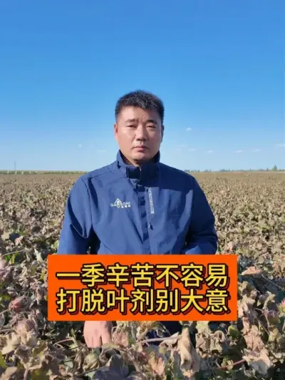 һ�����ڽ�ֹ�� ����Ҷ������� #��ũ������2025#ݪֲС���� #��ũ�� #������ũ֧����ũ #��Ҷ��