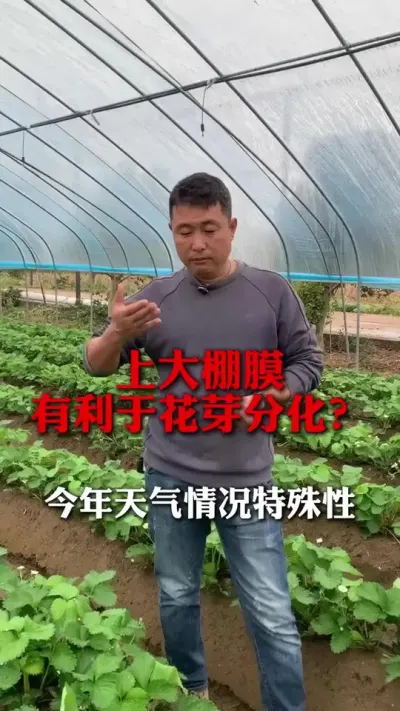 ϴĤڻѿֽ#ݮݪֲ #ݮ #ݮݪֲ #ũҵ֪ʶũ #ũ