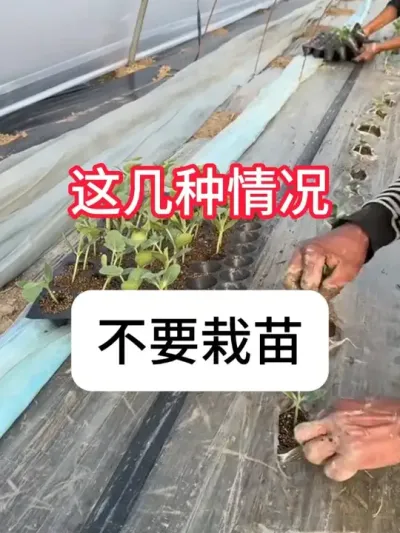  ݪֲ⼸βҪ#ũ #ũ֧ũ # # #ղӲԭ