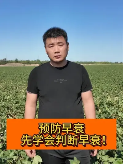 Ԥ����˥��ѧ���ж� #��ũ������2025#ݪֲС���� #��ũݪֲ #������ũ֧����ũ #�½��޻�