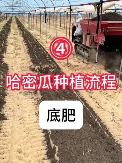 ݪֲܹϵ׷ʩŻ߲ ܹʩ׷̼ƻ#ܹ  #ݪֲ  #׷  #ũ֧ũ  #ʩ