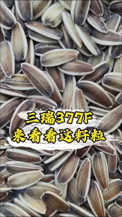 8��10���������еĹ���#�����