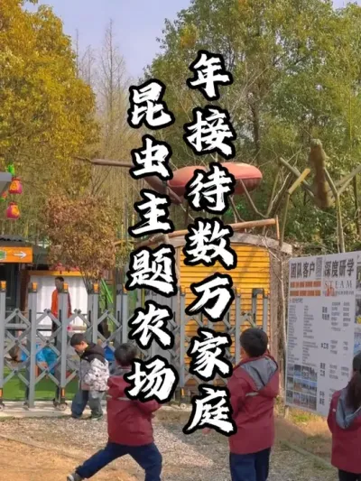 打造昆虫主题农场，年接待数万亲子家庭#游云文旅 #规划设计 #乡村振兴 #周二课堂