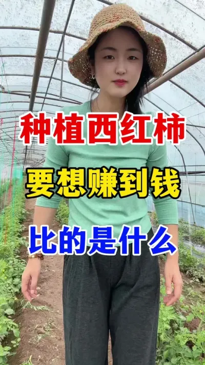 ݪֲҪ׬Ǯȵľʲô #ݪֲ #ݪֲ