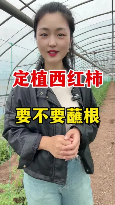 ���������Ծ���Ҫ��Ҫպ�� #������ݪֲ #������ݪֲ����