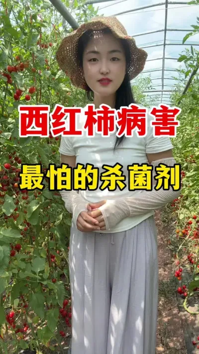 �������������µ�ɱ���� #������ݪֲ #������ݪֲ����