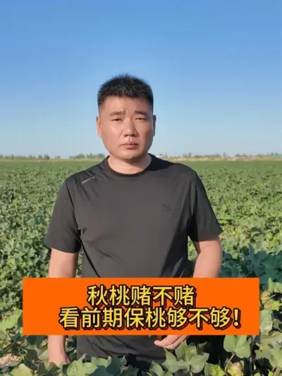 ���ҶĲ��� ��ǰ�ڱ��ҹ����� #��ũ������2025#ݪֲС���� #ũҵݪֲ #֧����ũ������ũ���� #�½��޻�