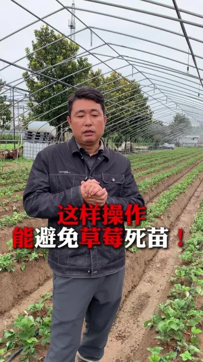 ֹ磡#ݮݪֲ #ݮ #ݮݪֲ #ũҵ֪ʶũ #ũ