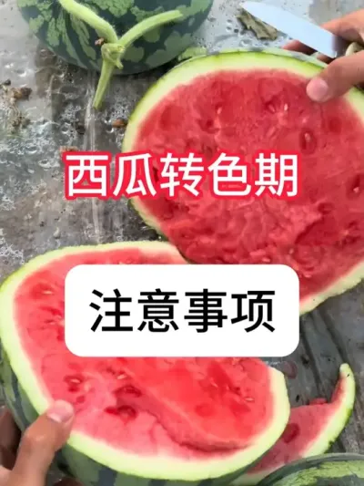 ����תɫ����ʲô����������תɫ�ڹ��� #����ݪֲ #�������� #��ũ #ũ���ƹ�