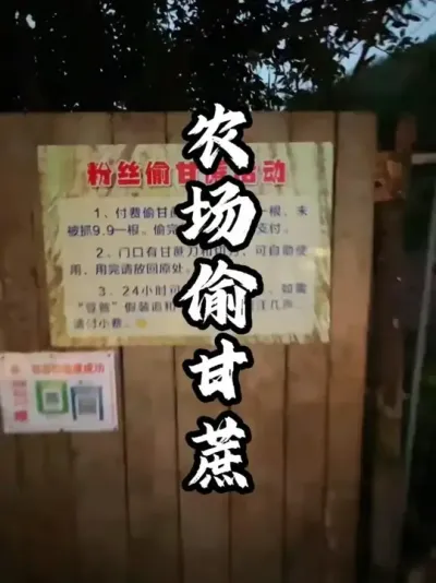 ũ��͵����#��������  #�������  #�ܶ�����  #ũׯ����