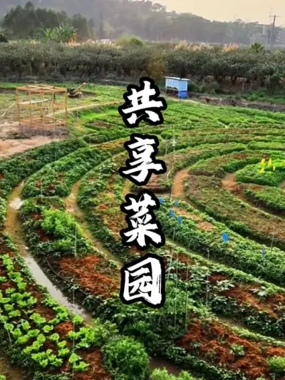 ������԰#��������  #�������  #�ܶ����� #ũ������