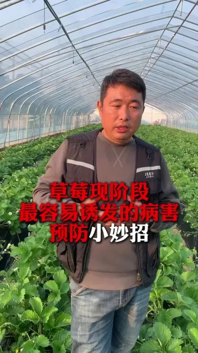 ٽݮС#ݮݪֲ #ݮժ԰ #ݮ