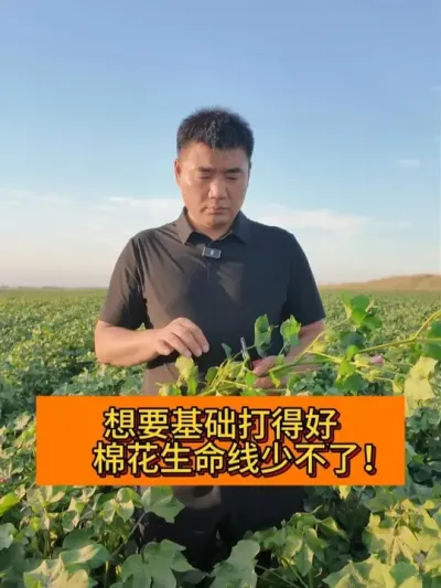 �޻����������ٲ��� #��ũ������2025#ݪֲС���� #������ũ֧����ũ #��ũݪֲ #�޻�