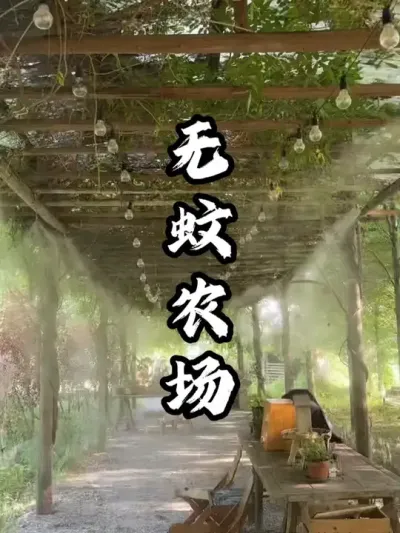 农场推出无蚊理念，结果爆火网络，吸引很多游客前去体验#游云文旅 #规划设计 #乡村振兴 #周二课堂